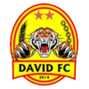David FC logo