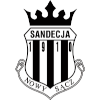 Sandecja Nowy Sacz logo