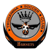 Truganina Hornets logo