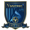 Sejong Vanesse FC logo