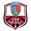 FC Sacele logo