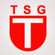 TSG Tubingen logo