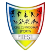 LPS Viitorul Pitesti U19 logo