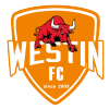 Foshan Athletics (W) logo