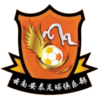 Yunnan Jiashijing W logo