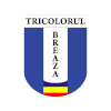 CS Tricolorul Breaza logo