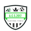 ACS 2017 Slatina Timis logo