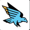 FC Birmingham (W) logo