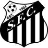 Santos Georgetown logo