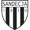 Sandecja Youth logo