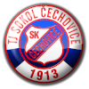 Sokol Cechovice logo