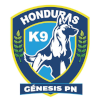 Genesis logo