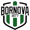 Viven Bornova logo