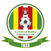 Horne Saliby logo