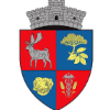 CS Socodor logo