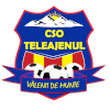 CSO Teleajenul Valeni de Munte logo