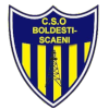 CSO Boldesti Scaieni logo