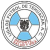 Liga de Futbol de Tehuacan logo
