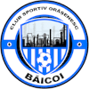 CSO Baicoi logo
