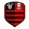 Flamengo SE logo