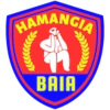 ACS Hamangia Baia logo