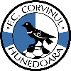 CS Corvinul Hunedoara U19 logo