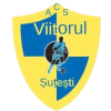 Viitorul Sutesti logo