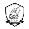 Dimba Patriots FC logo