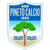 ASD Pineto Calcio U19 logo