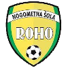 NS Roho Vbo logo