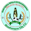 Shashemene Kenema FC logo