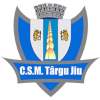 CSM Targu Jiu U19 logo