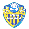 AS Spicul Valcelele logo