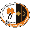 Odorheiu Secuiesc U19 logo