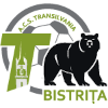 ACS Transilvania Bistrita U19 logo