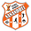 CS Sinandrei Carani logo