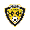 Carinthians Soccer (W) logo