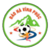 Dao Ha U19 logo
