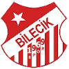 Bilecikspor logo
