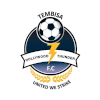 Tembisa Hollywood Thunder FC logo
