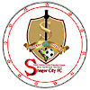 Sheger Ketema logo