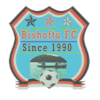 Bishoftu Ketema logo
