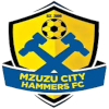Mzuzu City Hammers logo