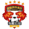 Shengyang Huiyue logo