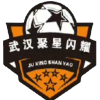 Wuhan Juxing Shanyao logo