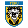 Nanjing Tehu Football Club logo