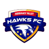 Merrimack Valley Hawks (W) logo