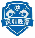 Shenzhen Nanshan Shengqing logo