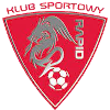 Rapid Domaniow logo