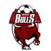 Banyule City (W) logo
